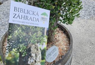 Biblicka_zahrada_1_original