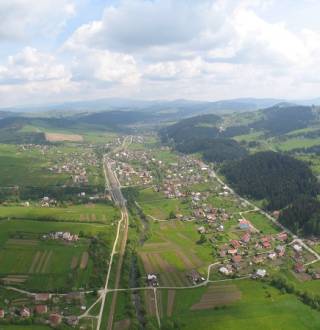 ierne_6_original