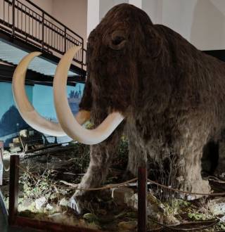 krasno_vlastivedne_muzeum_002_original