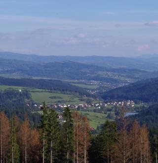 Rakova_2_original