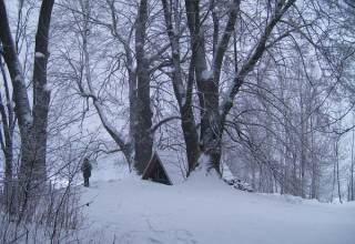 lipy_na_viglasi1_original