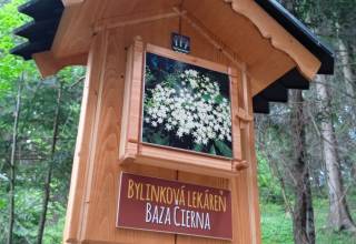 galeria_lekaren_4_original