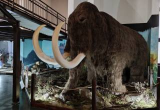 krasno_vlastivedne_muzeum_002_original
