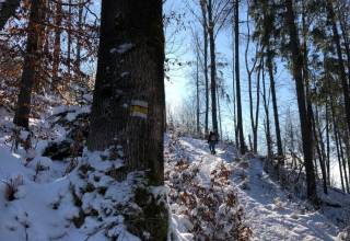 rozhladna-bobovec-zima-jk006_original