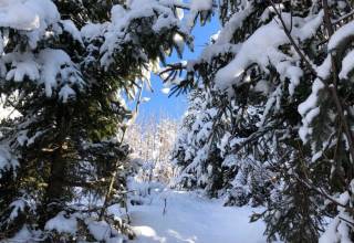 rozhladna-bobovec-zima-jk007_original