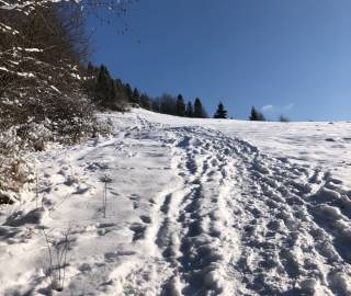 rozhladna-bobovec-zima-jk004_original