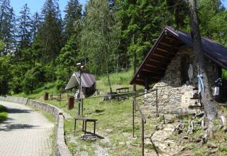 zivcakova_korna_004_original