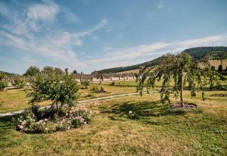 Biblicka_zahrada_pri_fare_-_Centrum-8591_original
