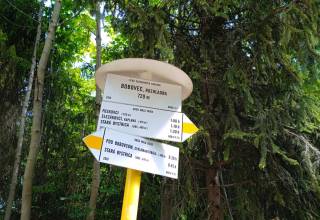 Bobovec011_original