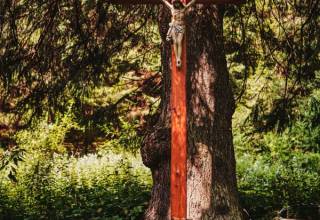Zeleny_kriz_Jedlovnik-0069_original