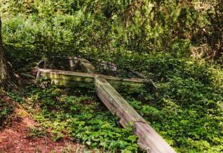 Zeleny_kriz_Jedlovnik-0071_original