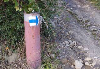 nov_znaka_original