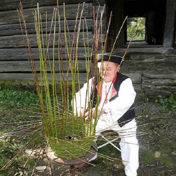 kosikar jozef sulek