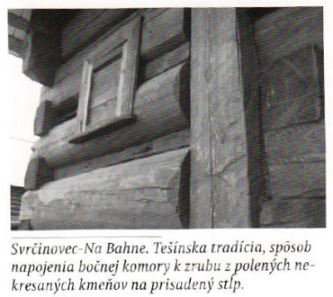 tesin